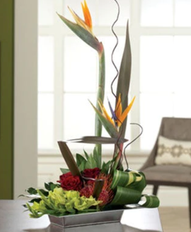 What are the Most Common Tropical Plants