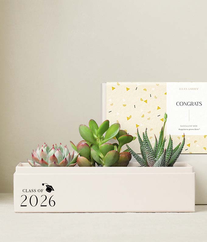 Lula's Garden ® Congrats Grad! Triune Garden