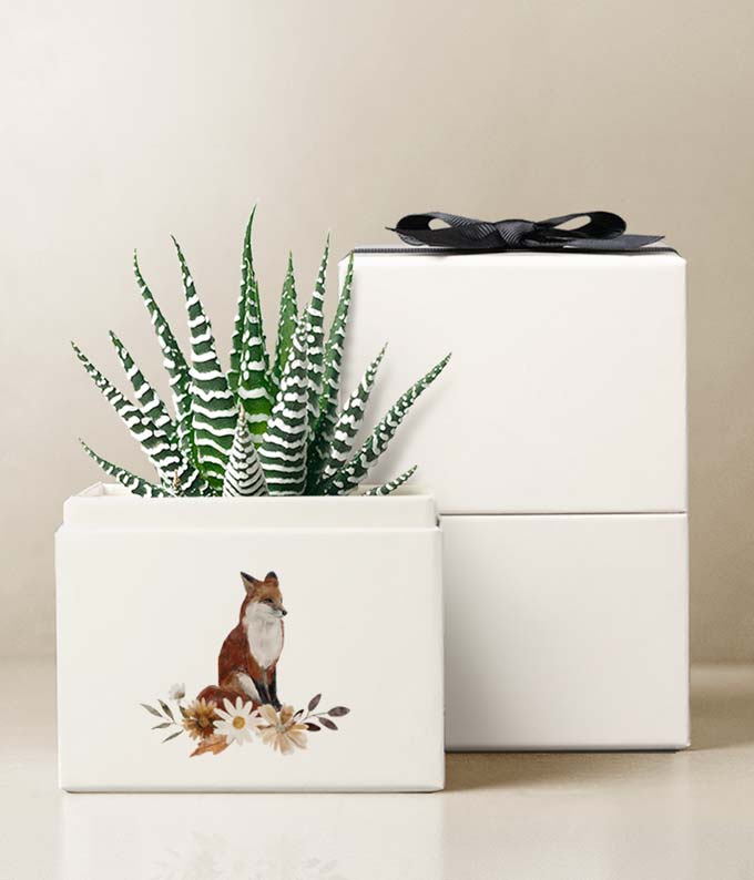Lula's Garden ® Autumn Petite Zebra Garden