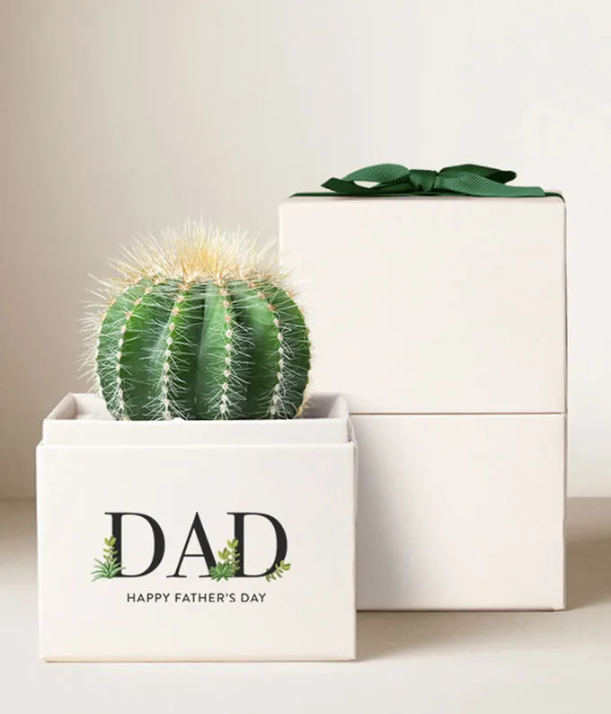 Lula's Garden Father's Day Succulent Cactus