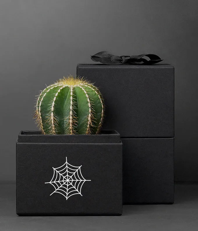 Lula's Garden Halloween Cacti Noir