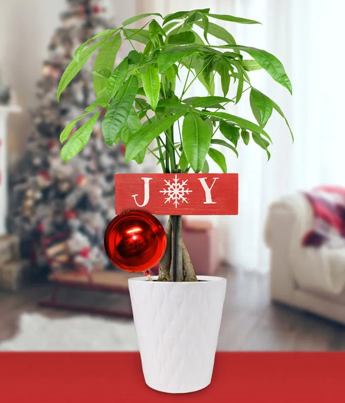 Holiday Joy Money Tree