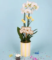 Whimsical Yellow Birthday Orchid