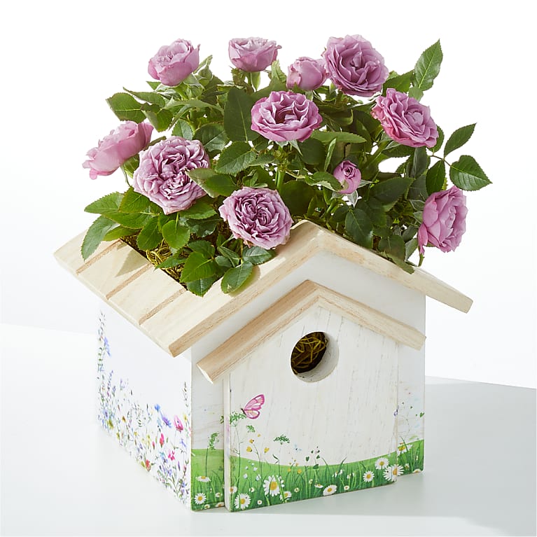 Lavender Mini Rose in Decorative Birdhouse