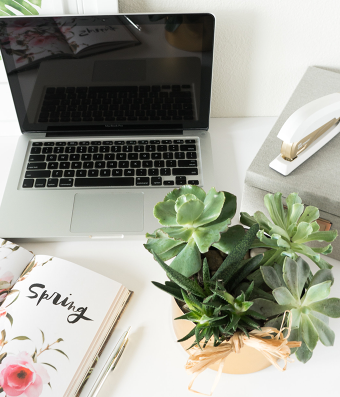 Best Selling Plants for Delivery SendPlants