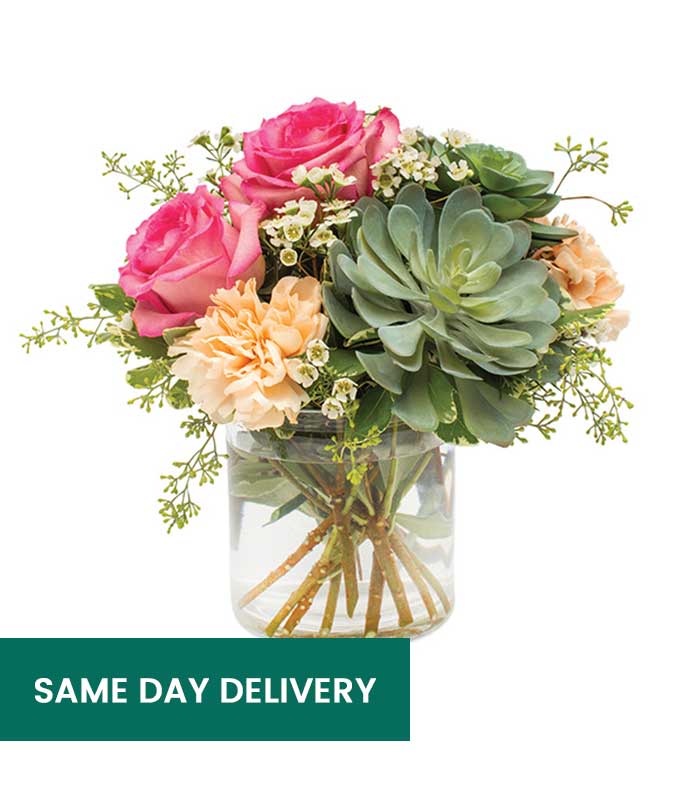 Succulent Arrangement