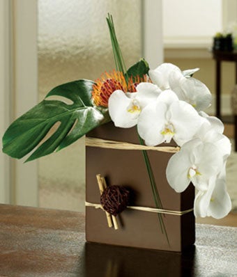 Ode to Orchids