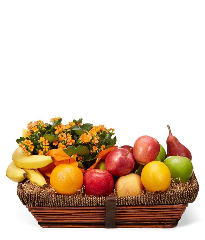 Kalanchoe Plant and Fruit Basket