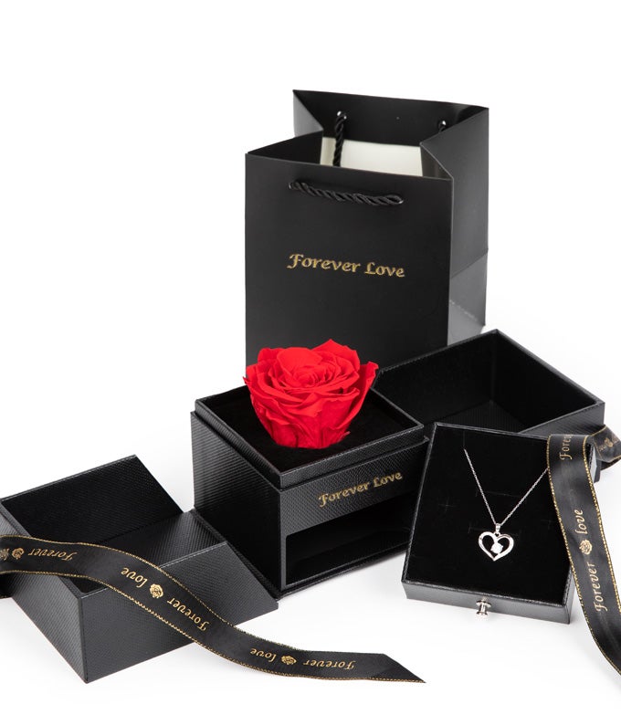 Forever Rose &amp; Necklace Gift Set